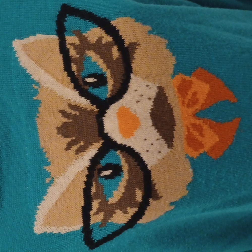 4/$40 Teal Sweater with Cat & Glasses Design - Fits Size L/XL - Picture 2 of 7